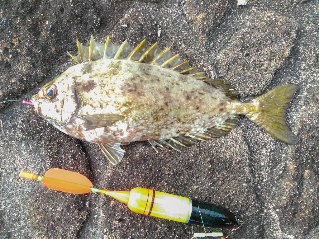 くじら浜公園