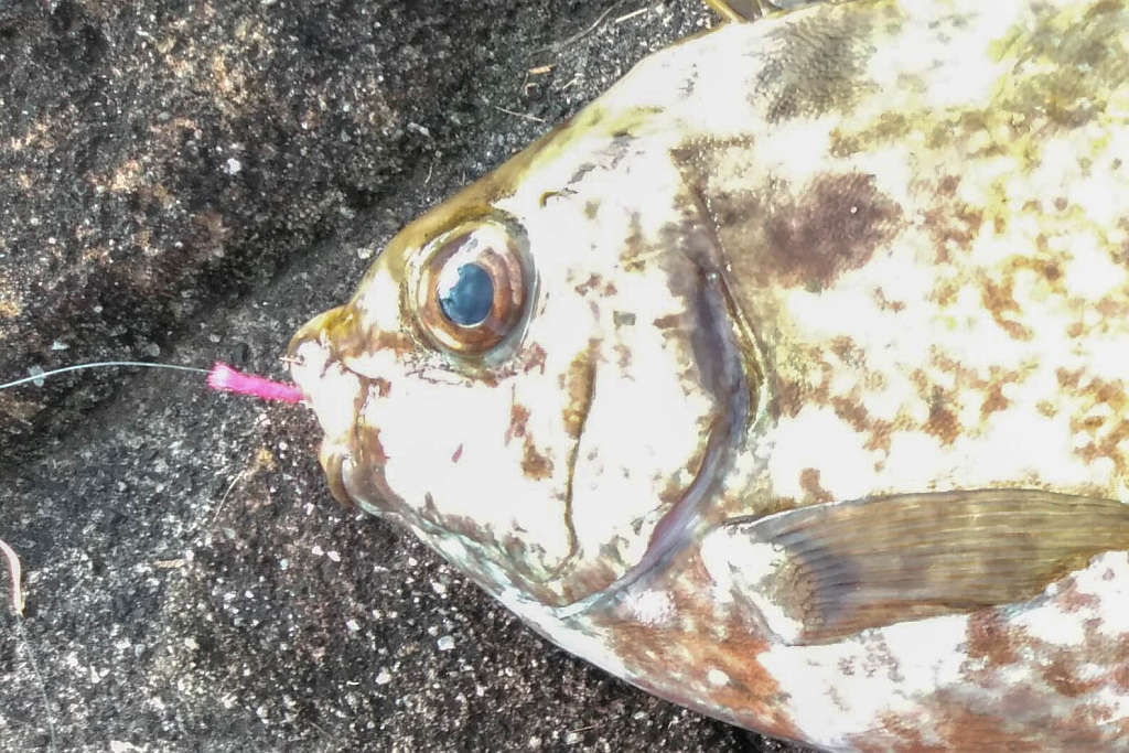 くじら浜公園