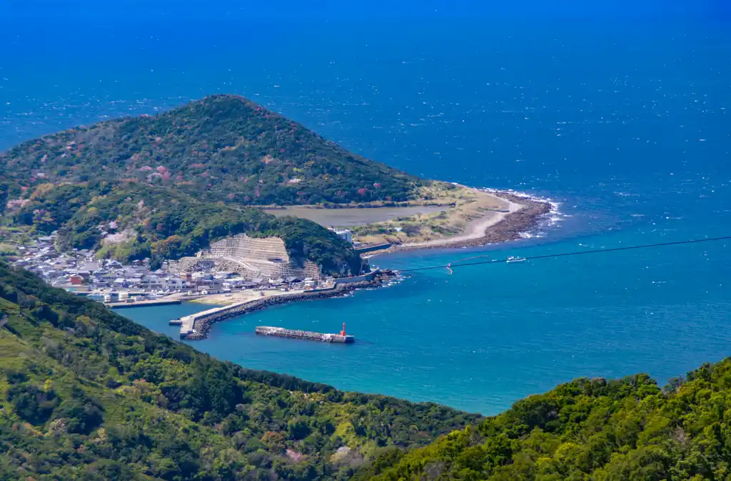阿尾