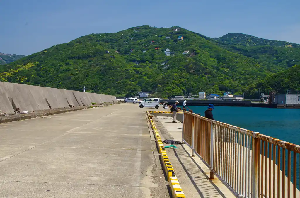 阿尾