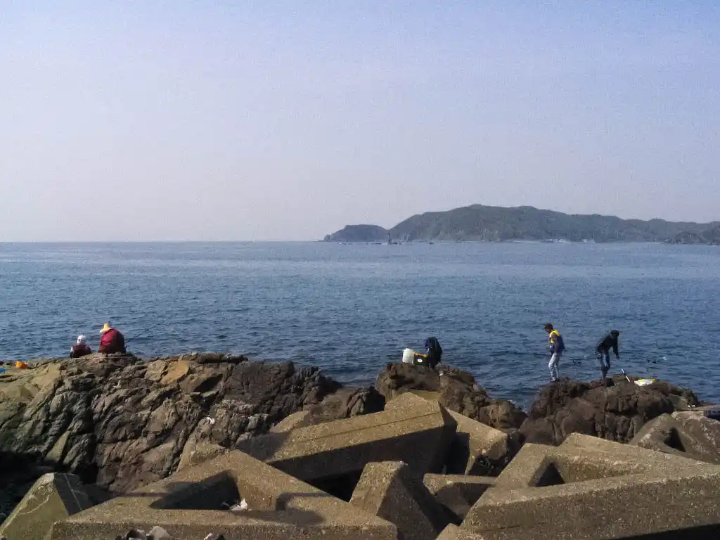 阿尾