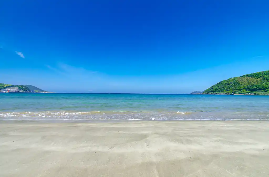 阿尾