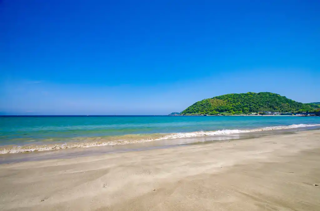 阿尾