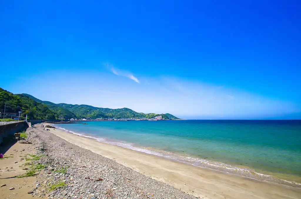 阿尾