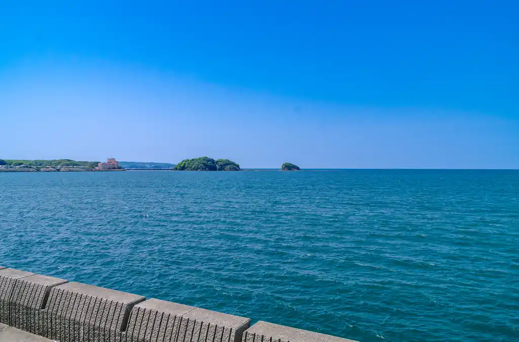 芳養