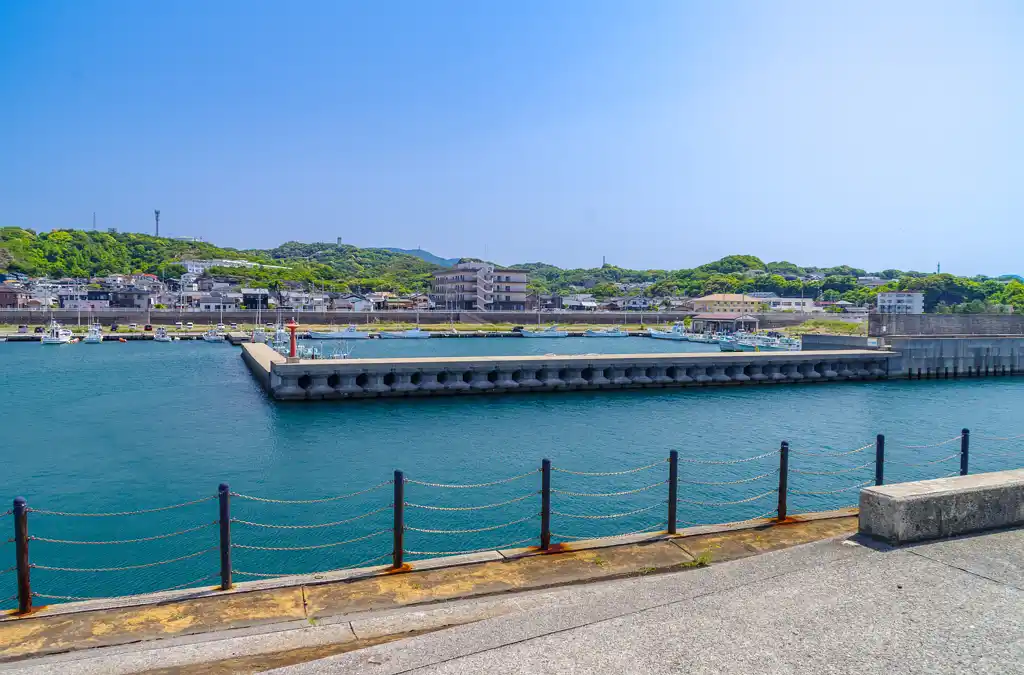 芳養