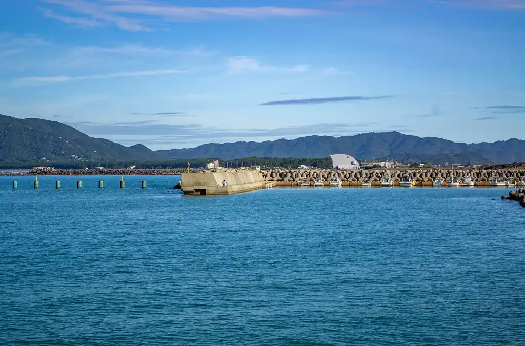 日高港