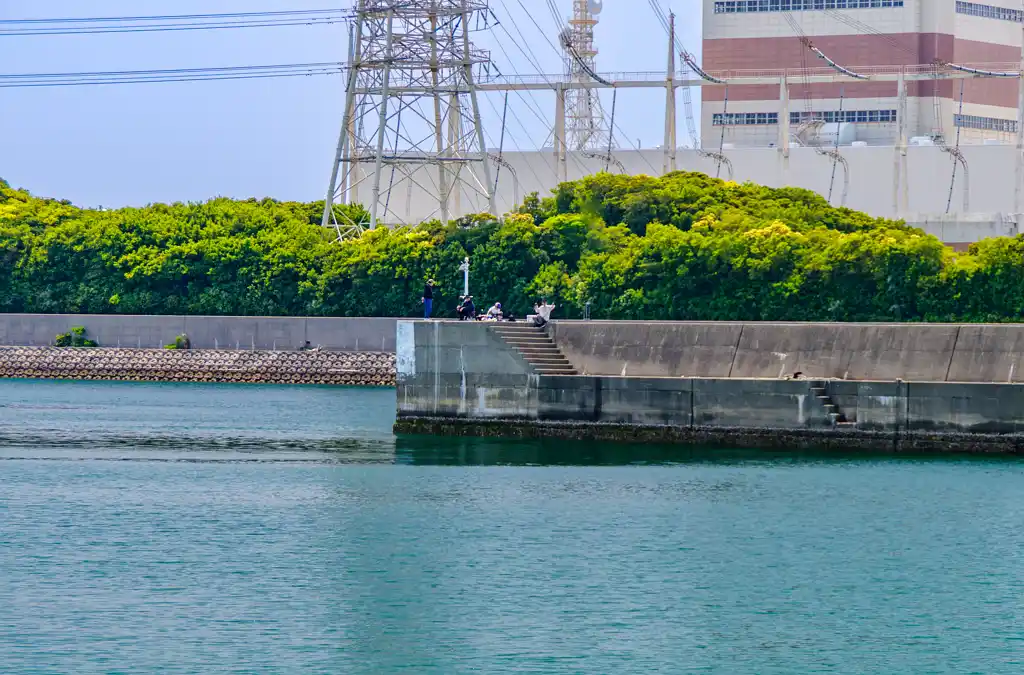 日高港