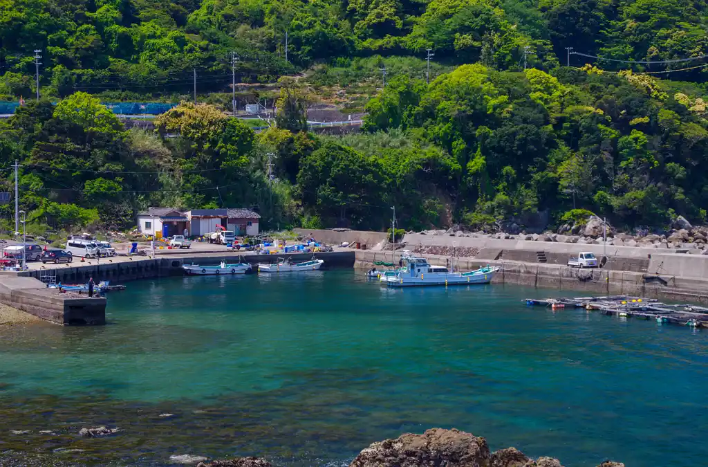 三尾川