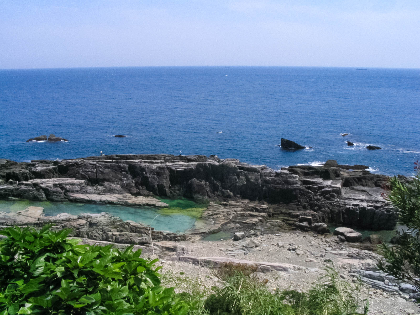 すさみ町　見老津周辺地磯