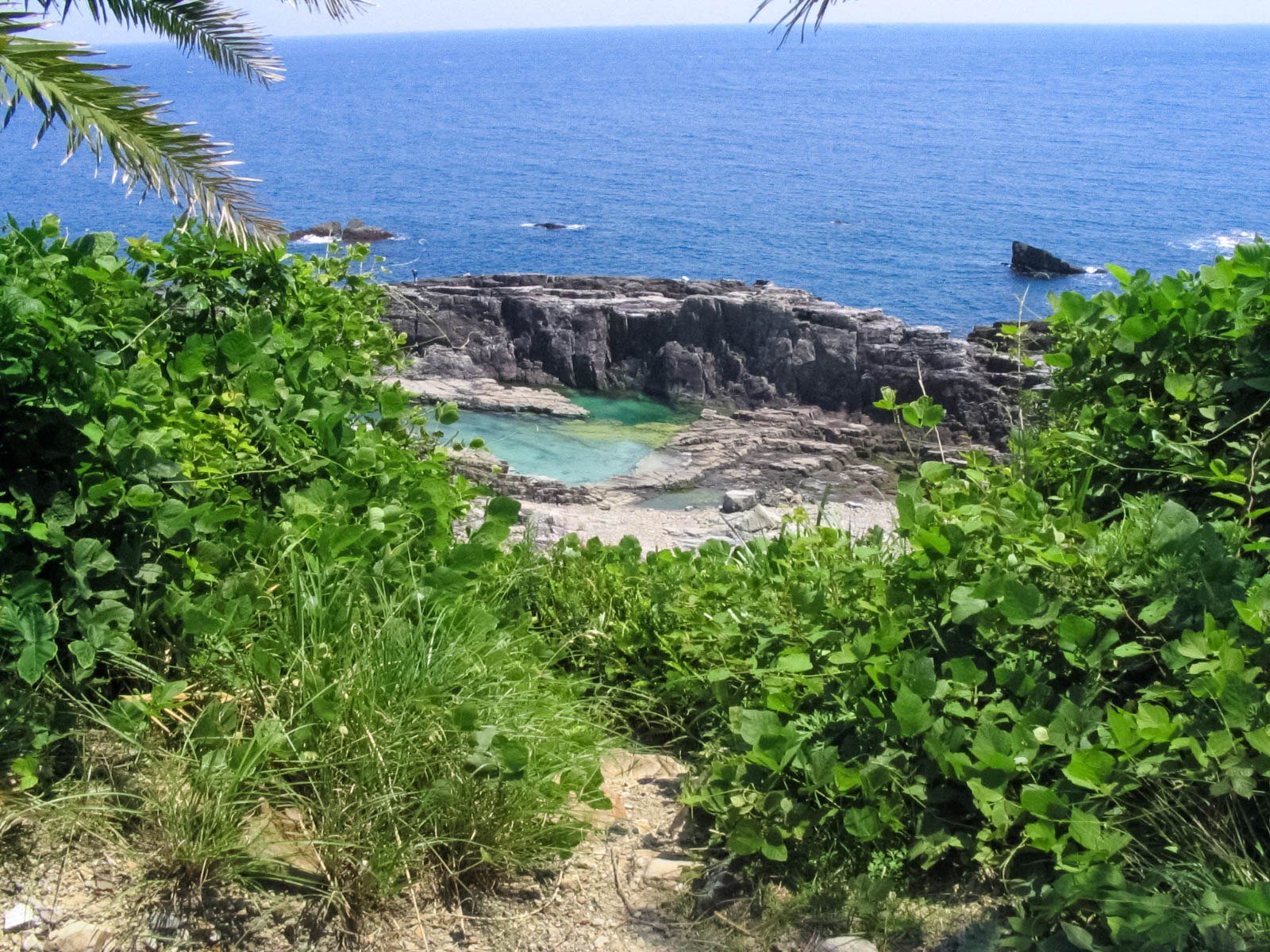 すさみ町　見老津周辺地磯