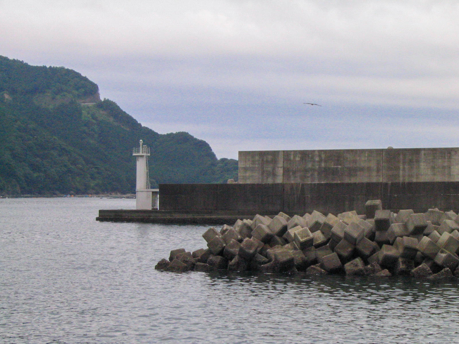 海山　引本港