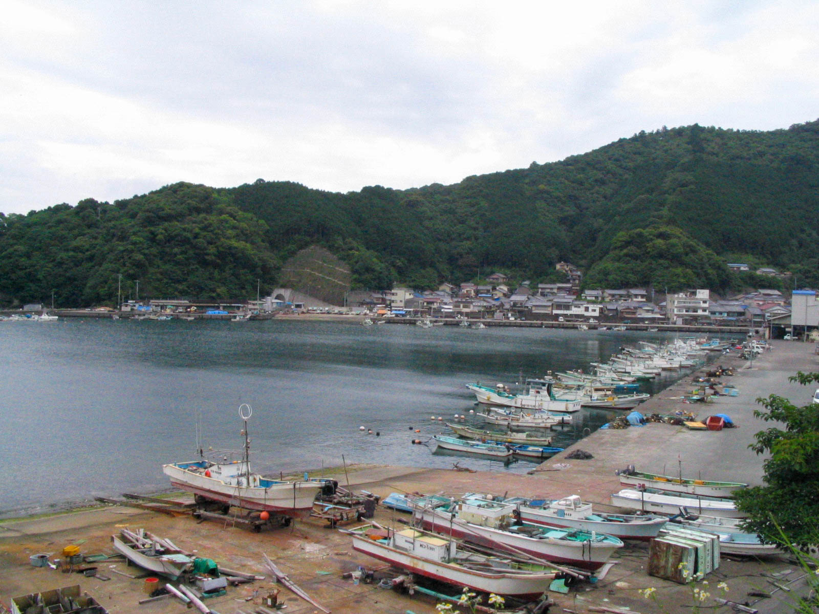 海山　島勝浦