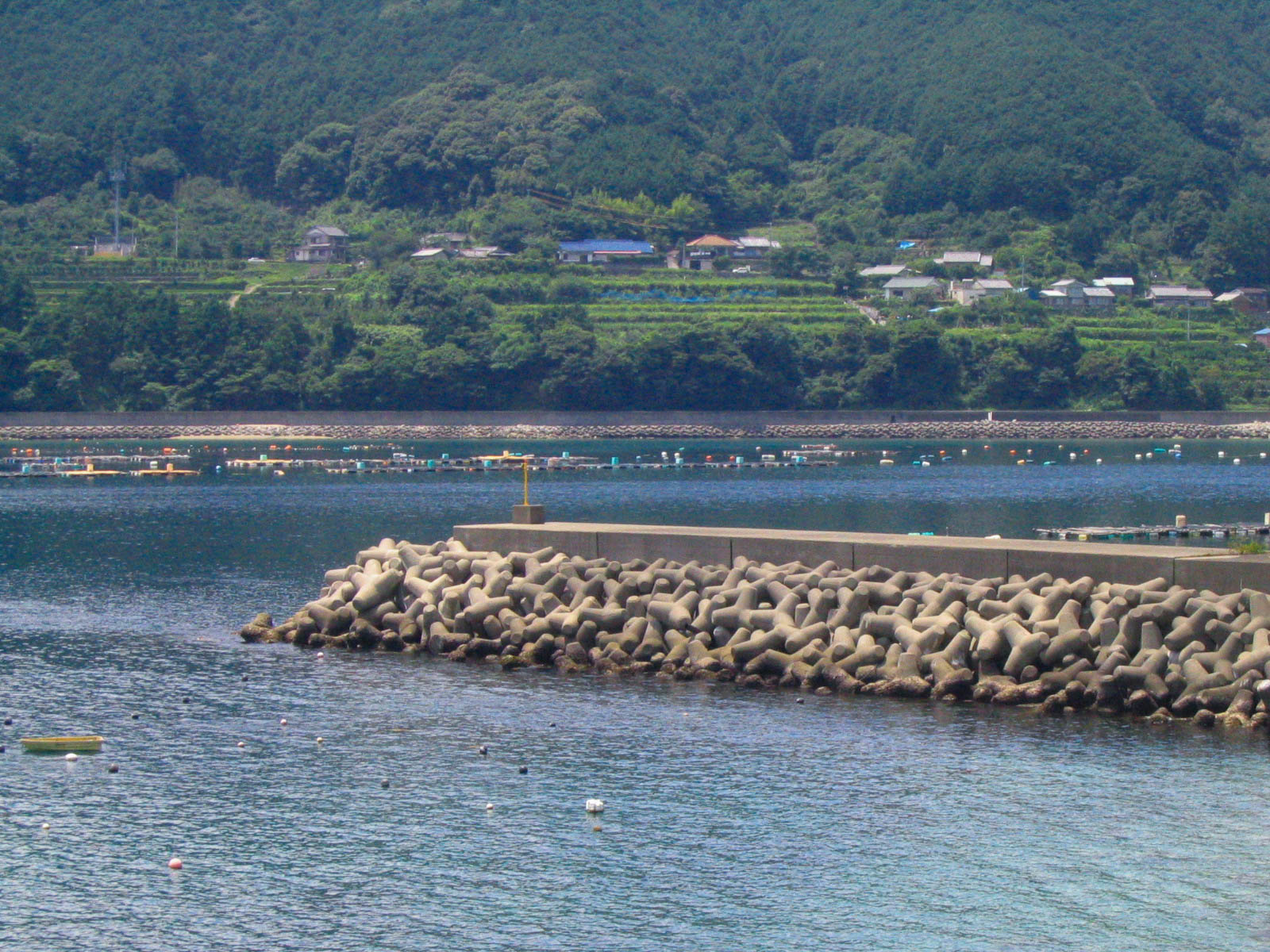 熊野　二木島