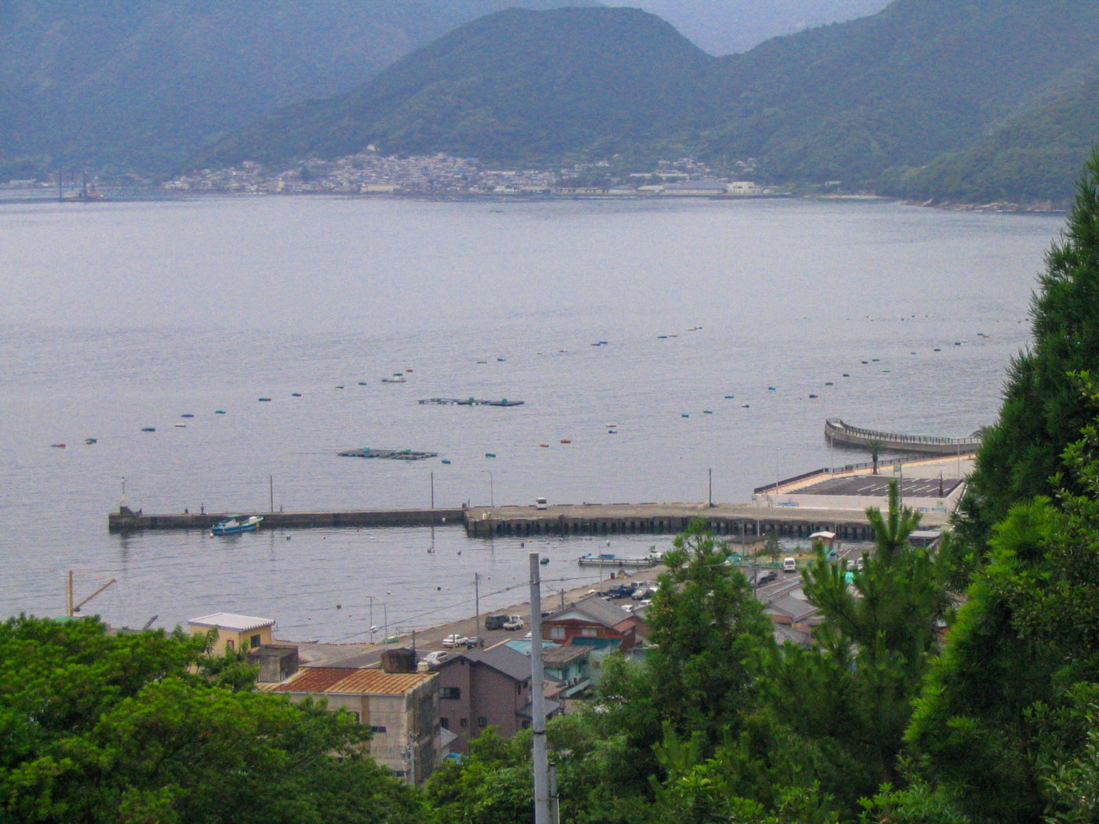 尾鷲　三木浦