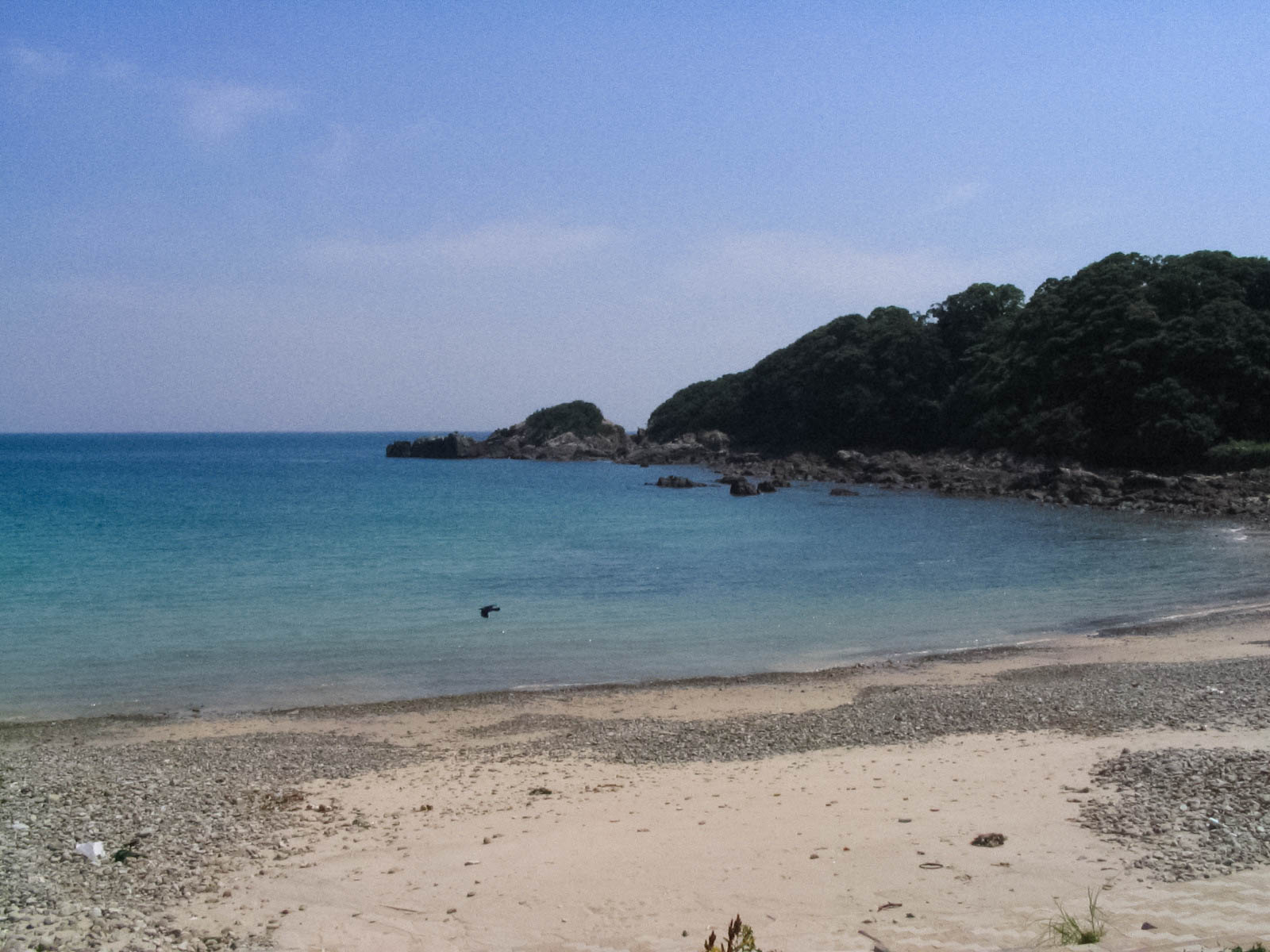 すさみ町　里野