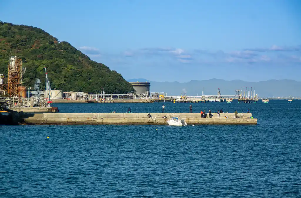下津港