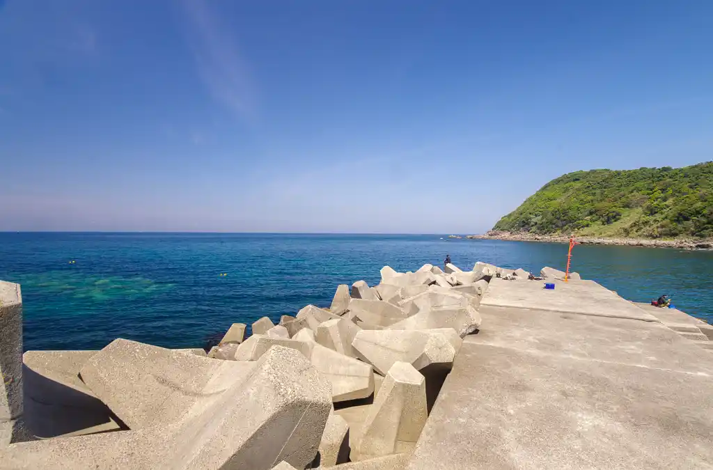 阿尾