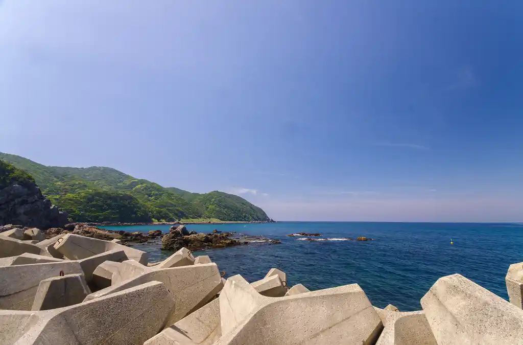 阿尾