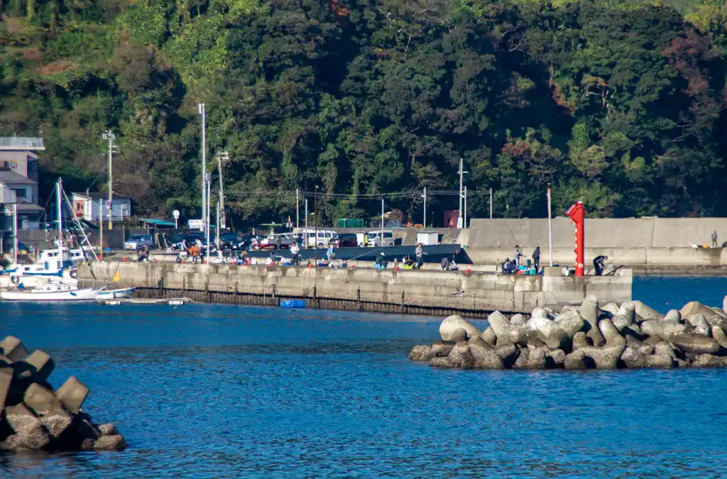 戸坂