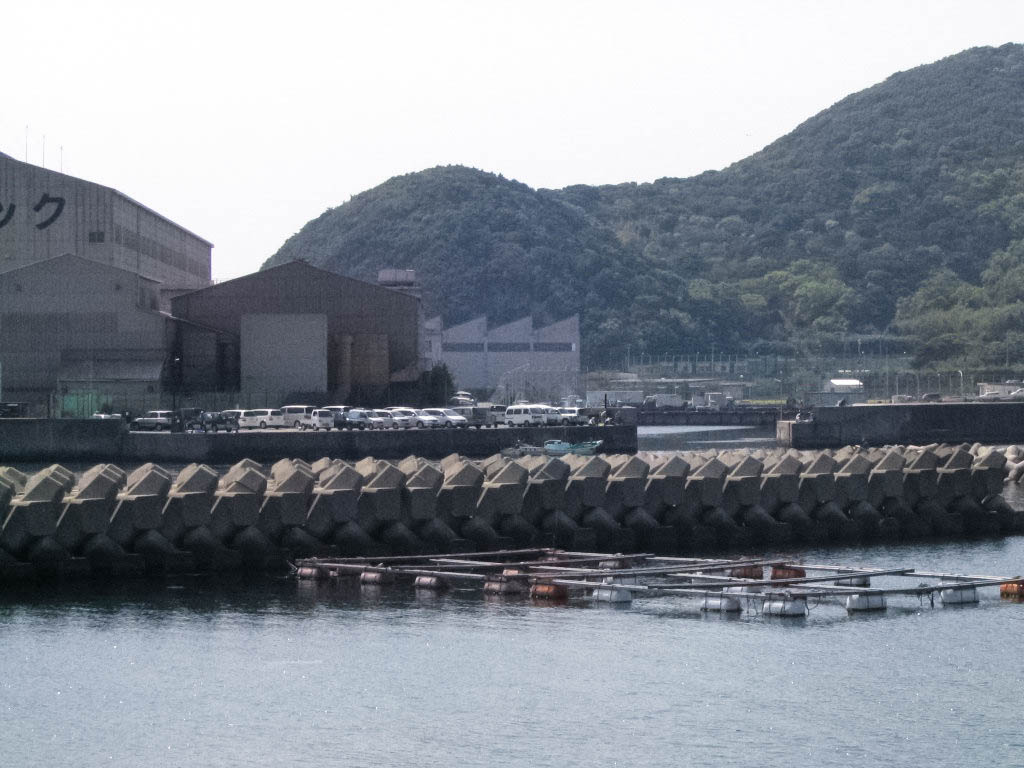 由良海釣り公園周辺