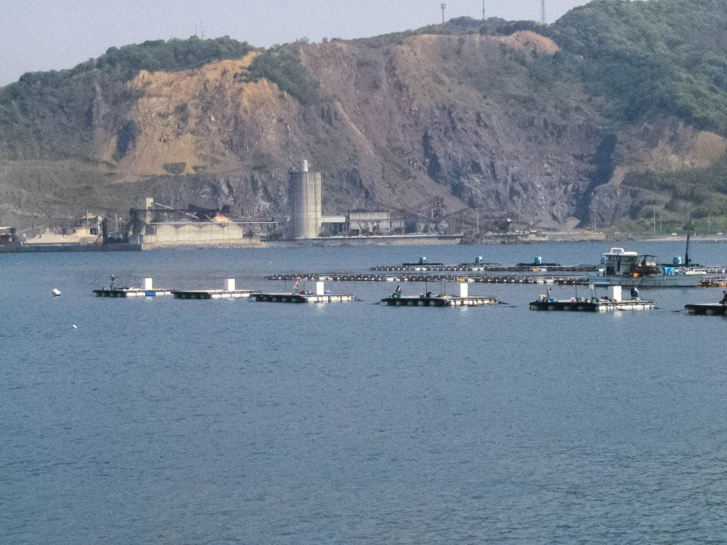 由良海釣り公園周辺